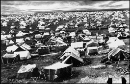 Camp de r�fugi�s palestiniens, 1970