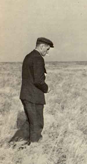 T.D. Lysenko